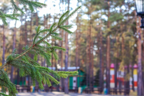 Виды острова