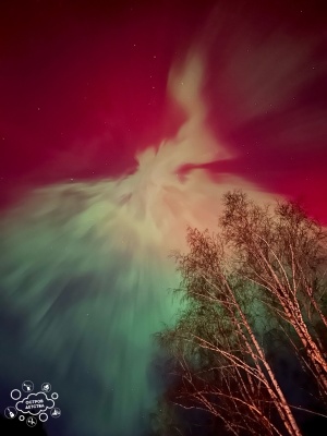 Jz9pbAc8hPWVGPntXe99ZZfrmCqzfA