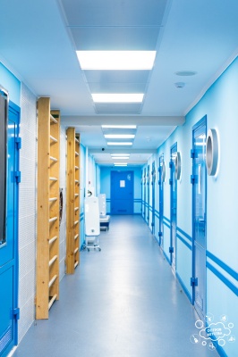 CR9k23EOwyDScBUJ4KXbxSlor60ZVE