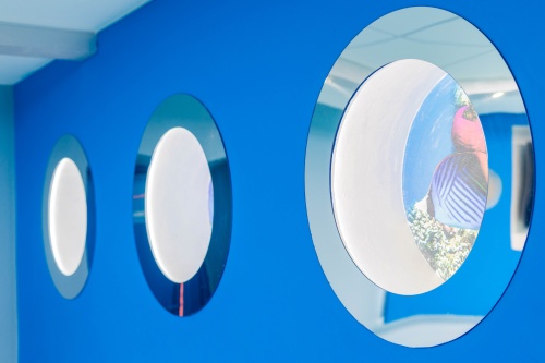 FcF6FlKnsu0s7qDESGue687RiMPlEi