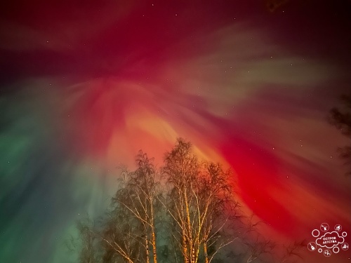 j6ZFD8WDF0wdO9tORfgnT3BEQTp2qc