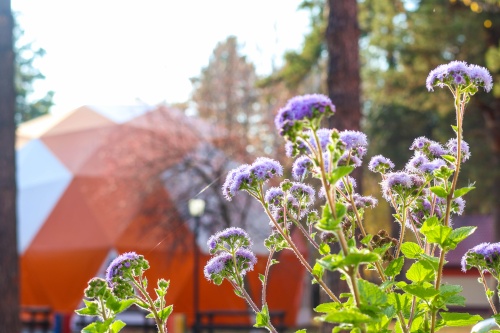 t6UlmAtB5ALn4soMMeZlPDy6elf5Ec