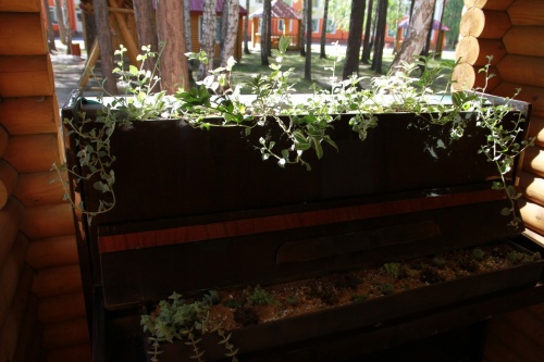 Творчество