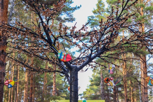 Виды острова