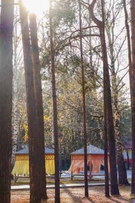 hlCOdd2A3BnLj0yezTP0ALHKF0rXfa