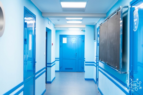 Классический корпус