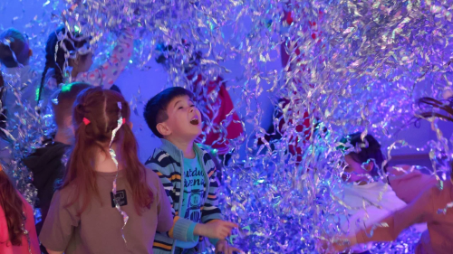 Шоу-программы